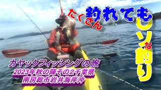 カヤックフィッシングの旅 2023年秋の陣その２千葉県南房総市岩井海岸沖 ガシガシ漕いで細々とたくさん釣り遊ぶ動画 因みに本人は大物狙いのつもり草 [upl. by Ludwigg]