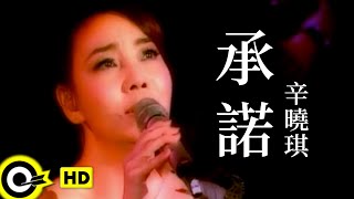 辛曉琪 Winnie Hsin【承諾 Promise】Official Music Video [upl. by Niu]