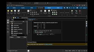 Valores y vectores propios en MATLAB [upl. by Krispin]