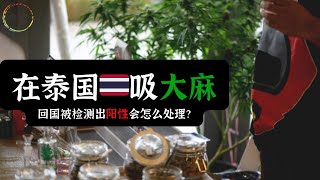 泰国吸完大麻回国被检测出阳性会怎么处理？ [upl. by Burg287]