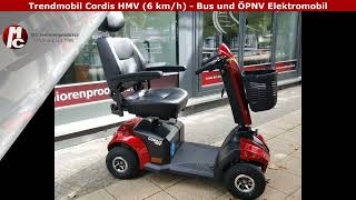 Kurzvorstellung Trendmobil Cordis HMV 6 kmh  Bus und ÖPNV Elektromobil [upl. by Bartko]