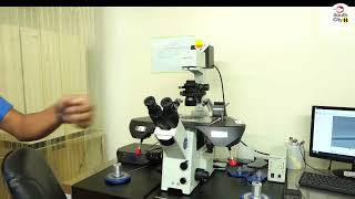 Understanding the ICSI Procedure  Explained by Senior Embryologist Atif Yar Khan [upl. by Clementi95]