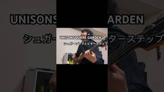 UNISON SQUARE GARDEN シュガーソングとビターステップ ベースで弾いてみたbasscoverbassベース弾いてみたアニソンアニメ [upl. by Sascha]