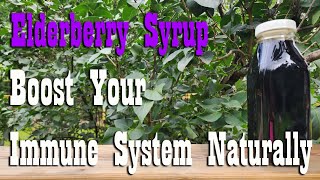 Elderberry Syrup Recipe  Boost Your Immune System Naturally  Self Reliance [upl. by Jallier738]