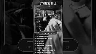 Cypress Hill MIX Best Songs shorts  1980s Music  Top Rock Rap Pop Latin Rap Music [upl. by Nosle290]