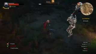 How to kill Imlerith  The Witcher 3 Wild Hunt [upl. by Colfin142]