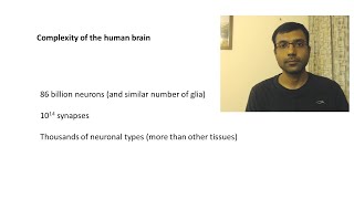 Neurobiology 13 An evolutionary perspective [upl. by Jackelyn]