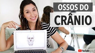 Ossos do crânio Sistema Esquelético 35  Anatomia etc [upl. by Clarance]