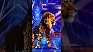 Miracle or magic 😱 Man in lion 🦁 America’s got talent agt talent americangottalent [upl. by Ellierim]