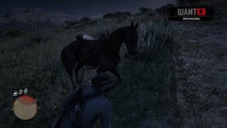 Red Dead Redemption 2 glitches [upl. by Salaidh]