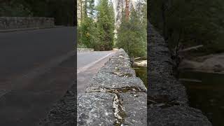 Half Dome in the Distance yosemite allhislight beautyeverywhere fall2024 jenniemcbride [upl. by Neirol244]