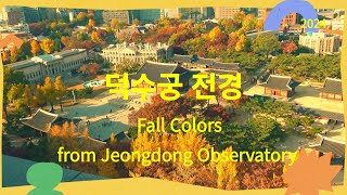 4KUHD Fall Colors of Deoksugung from Observatory 德壽宮 全景 20241115 [upl. by Venola]