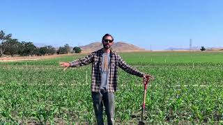 Paicines Ranch crop field Greg Richardson [upl. by Ahsiryt815]