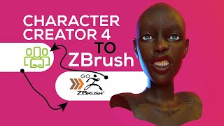 CC4 Zbrush HOW TO INSTALL GoZ CHARACTER CREATOR  Zbrush to Character Creator 4 Tutorial [upl. by Pontius]