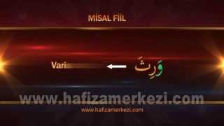 Arapça  Arapça Eğitimi  Misel Fiil  Ecvef Fiil Uygulama Video  1 [upl. by Winn121]