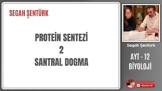 Genden Proteine  Protein Sentezi Part 2  AYT BİYOLOJİ  12SINIF  YKS 2025 [upl. by Ttej934]