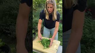 Stop 🛑Before you let all those herbs from your summer garden go to waste save this video garden [upl. by Pomfrey]