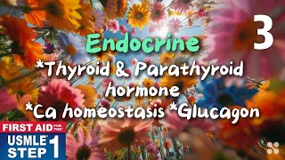 Endocrine Thyroid amp Parathyroid Hormone Calcium Homeostasis 2024 First Aid USMLE Step 1 firstaid [upl. by Hadsall]