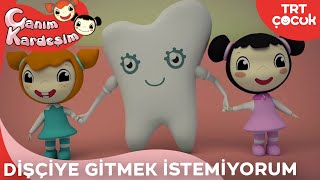 Canım Kardeşim  Dişçiye Gitmek İstemiyorum [upl. by Arlinda]