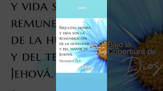 Bendiciones ElVersículodelDía TaberManassas manassas biblia tabertv BajoLaCoberturaDeDios [upl. by Kendricks]