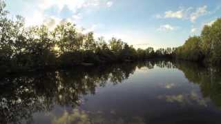 Inflight at Old Oaks Carp France [upl. by Erret897]