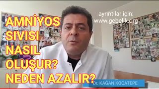 Bebeğin amniyon suyu nasıl oluşurSu tüketimi ile ilgili midirAz veya fazla olması ne anlam taşır [upl. by Novihc794]