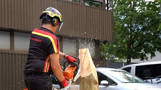 Chainsaw Carving at Protos Pfanner [upl. by Okeim]