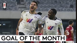 Fulham Goal Of The Month  DecemberJanuary [upl. by Christina]