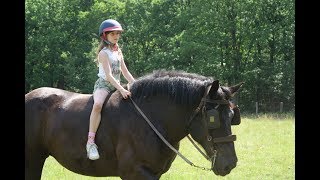 2 Belgian Draft Horses and a little girl [upl. by Lazes]