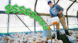 Stop Losing Money Feeding Your Chickens Complete Guide [upl. by Terpstra731]