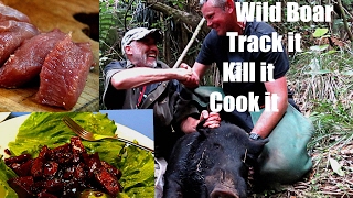 Wild boar  Track it Kill it Cook it [upl. by Aitercul]