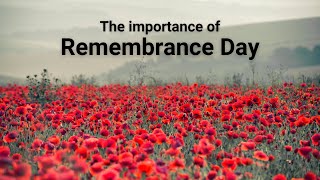 Remembrance Day Tales from Dorset [upl. by Derwood]