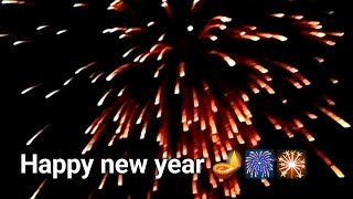 🪔🎇Happy new year 🎇🪔🧨🎆Ranjula Vivek 🎆Vlog [upl. by Agnella]