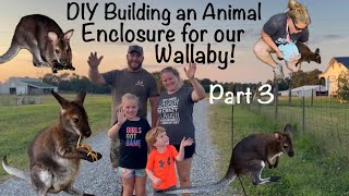 DIY Building an Animal Enclosure for our Wallaby [upl. by Ahsitil]