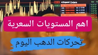 اهم المستويات السعرية لاتجاهات واسعار الدهب عالميا محليا اليوم الاثنين 4112024 [upl. by Joby]