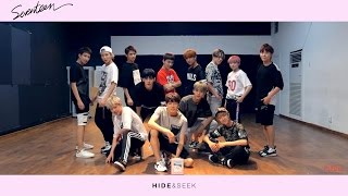 Dance Practice SEVENTEEN세븐틴  만세MANSAE  HIDE ver [upl. by Phio797]