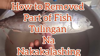 How To Removed Part of Fish Tulingan Poisonous [upl. by Karilynn]