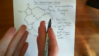 The Heme Group and Hemoglobin Part 1 [upl. by Auohp256]