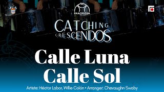 9 Calle Luna Calle Sol Steelpan Cover  UWI Panoridim Steel Orchestra [upl. by Eannej]