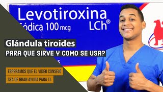 LEVOTIROXINA para que sirve  Dosis y Como se toma 💊 Glándula tiroides [upl. by Llyrad769]