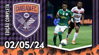 INCRÍVEL Palmeiras LUTA MUITO e VENCE o BotafogoSP com GOL aos 98min  CANELADA [upl. by Ahsinod]