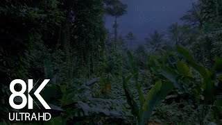 Jungle Nightlife Sounds 8K  10HRS of Cicadas Singing amp other Sounds of Night Creatures  Part 1 [upl. by Ahsemit]