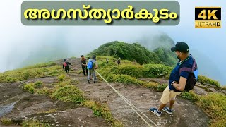 അഗസ്‌ത്യാർകൂടം  Agasthyarkoodam Trekking  Agastya Mala  4K UHD [upl. by Nedle180]