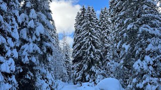 Dolomites Val di Fassa Canazei Campitello Ski alp in val Monzoni and Val Duron [upl. by Jesher]