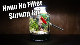 Easy No Filter Nano Shrimp Jar That ANYONE Can Build No Filter No Heater Walstad Method [upl. by Ettenej569]