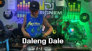 Daleng Dale Budots Remix  Dj Ericnem [upl. by Kamin]