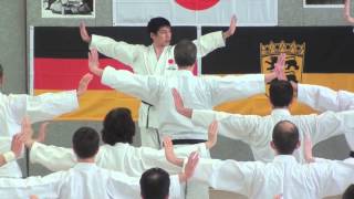 Sensei Tatsuya Naka in Kata Spezial Germany 2013 [upl. by Aihcats494]