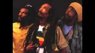 ISRAEL VIBRATION  Live in Jah Love Forever [upl. by Annairba892]