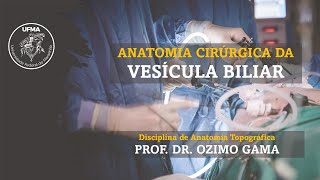 Anatomia Cirúrgica da Vesícula Biliar Colecistectomia [upl. by Almira835]