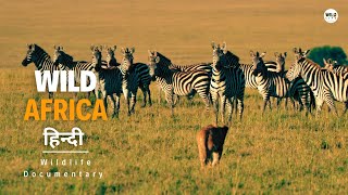 Wild Africa  हिन्दी डॉक्यूमेंट्री  Wildlife documentary in Hindi [upl. by Vedetta]